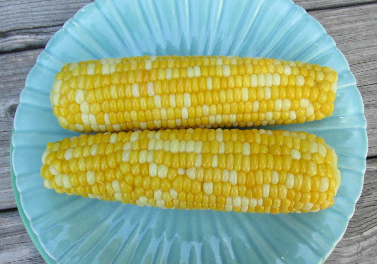 White and gold corn on the cob.